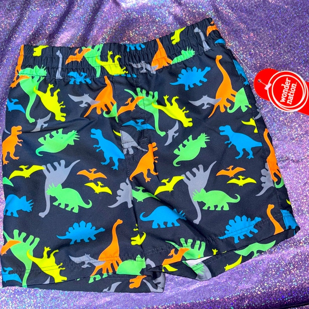 Boys Dinosaur Swim trunks